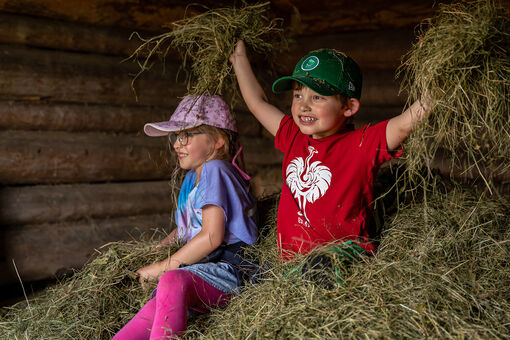 Children playing in the hay at the farm in Steinberg am Rofan.