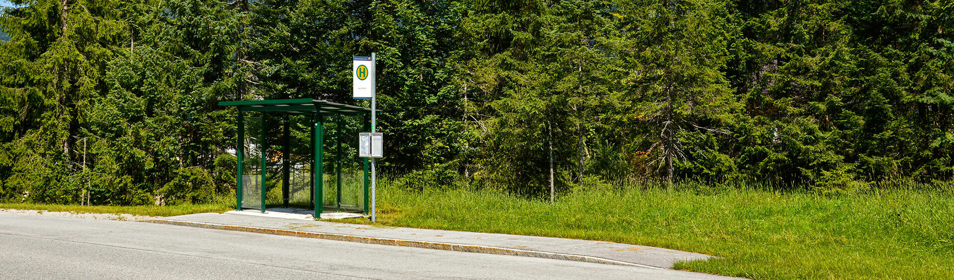 The AchenseeCard allows free use of the public buses which run at regular intervals between the villages of Achenkirch, Maurach, Pertisau, Steinberg, Wiesing and Jenbach. 